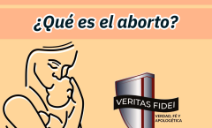 Caso a Favor de la Vida - 4. ¿Qué es el aborto?