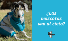 Podcast 7:1- ¿Las Mascotas Van al Cielo?